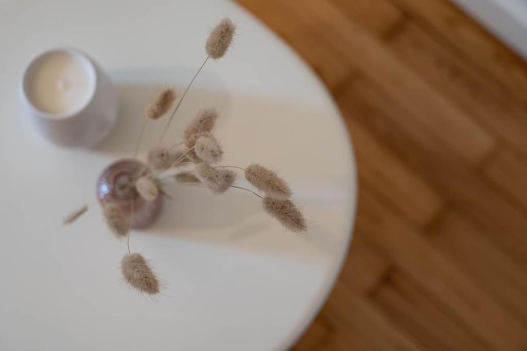 La Praline, Studio Coeur Ville Anse Zewnętrze zdjęcie